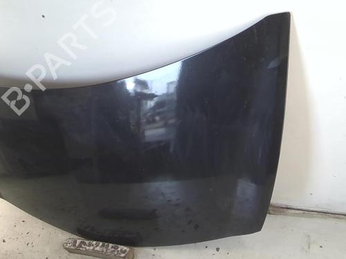 Used Hood RENAULT CLIO III (BR0/1, CR0/1) 1.5 dCi (BR17, CR17) (86 hp) 20951209