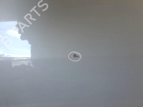 Right front door RENAULT MEGANE II Coupé-Cabriolet (EM0/1_) 1.9 dCi | BP20940171C3 