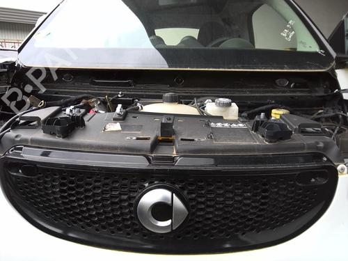 Grill Grill SMART FORTWO Coupe (453) 0.9 (453.344, 453.353) (90 hp) 22027149 22027149