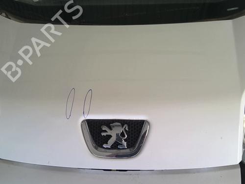 Used Hood PEUGEOT BIPPER (AA_) 1.3 HDi 75 (75 hp) 25292180
