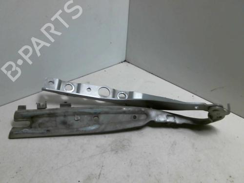 Hinge/Door check strap PEUGEOT 407 (6D_) 2.0 (6DRFNB, 6DRFNE) | BP20951756C146 