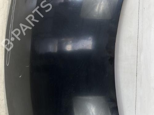 Used Hood VW POLO IV (9N_, 9A_) 1.4 TDI (80 hp) 22028452