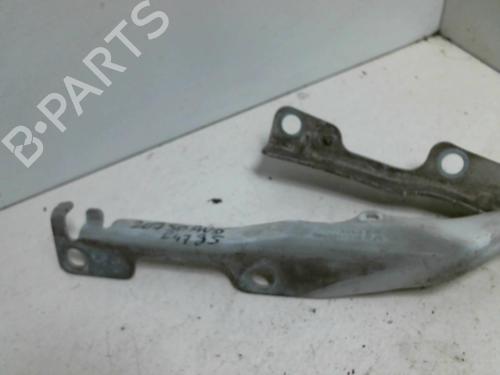 Hinge/Door check strap PEUGEOT 207 (WA_, WC_) 1.4 HDi | BP20957801C146 