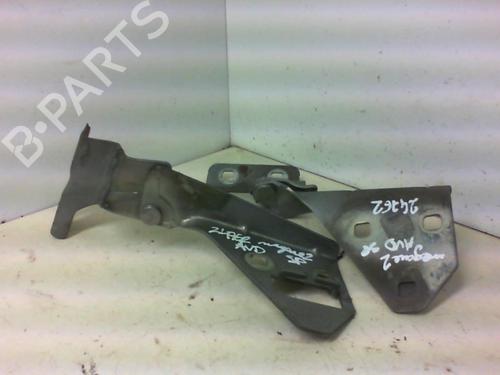 Used Hinge/Door check strap RENAULT MEGANE II (BM0/1_, CM0/1_) 1.9 dCi (BM0G, CM0G) (120 hp) 20945840