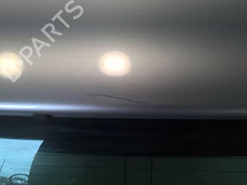 Bakluke CC/Kombi-Kupé PEUGEOT 407 SW (6E_, 6D_) 2.0 HDi 135 | BP20950385C6 