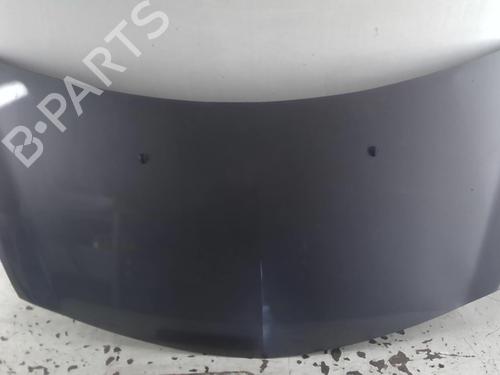 Used Hood RENAULT CLIO III (BR0/1, CR0/1) 1.5 dCi (C/BR0G, C/BR1G) (68 hp) 25267865