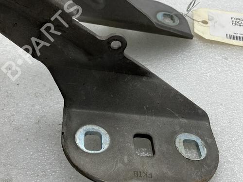 Hinge/Door check strap FORD FOCUS III 1.6 TDCi | BP20950154C146 