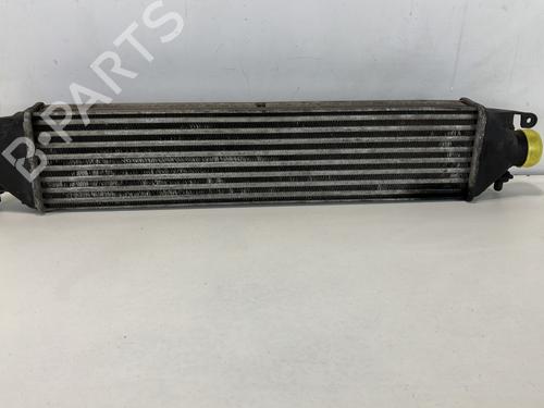 Used Intercooler LANCIA DELTA III (844_) 1.6 D Multijet (844.AXC11, 844.AXC1A) (120 hp) 21775799