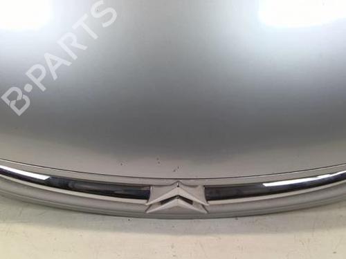 Hood CITROËN XSARA PICASSO (N68) 2.0 HDi | BP20944716C1 