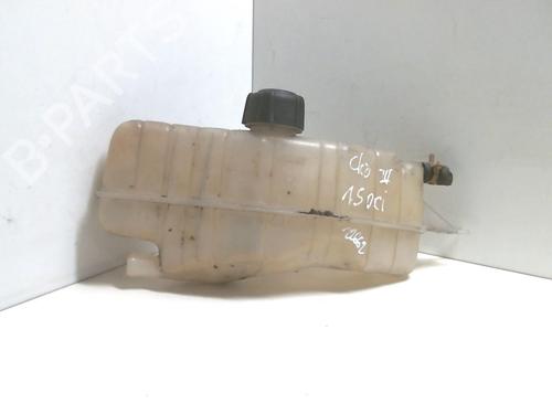 Used Expansion tank RENAULT CLIO III (BR0/1, CR0/1) 1.5 dCi (BR17, CR17) (86 hp) 20942160