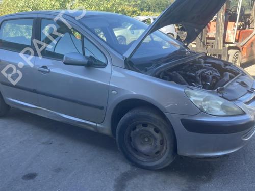 Hinge/Door check strap PEUGEOT 307 (3A/C) 1.6 HDi 110 | BP20959064C146 