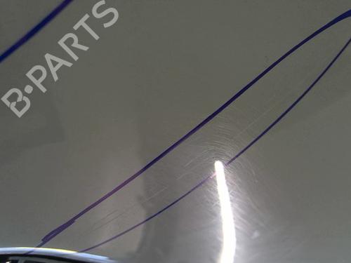 Hood PEUGEOT BIPPER (AA_) 1.3 HDi 75 | BP25292180C1