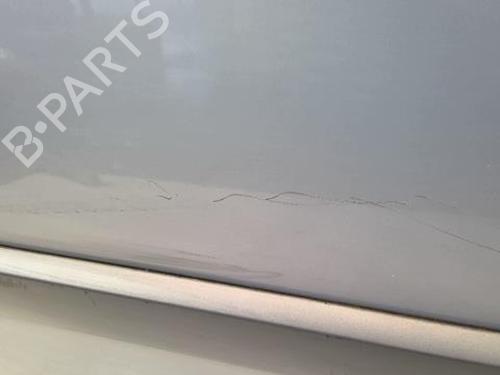 Right front door RENAULT MEGANE II (BM0/1_, CM0/1_) 1.9 dCi (BM0G, CM0G) | BP22021535C3