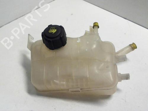 Used Expansion tank RENAULT GRAND SCÉNIC III (JZ0/1_) 1.9 dCi (JZ0J, JZ0N, JZ1K, JZ1S) (131 hp) 20947251