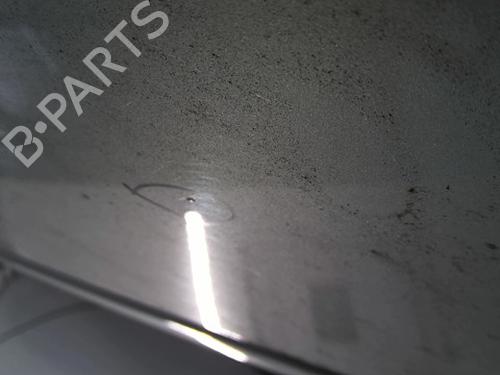 Hood LANCIA PHEDRA (179_) 2.2 JTD (179AXC1A) | BP26717672C1 