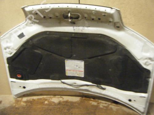 Used Hood FIAT PUNTO (188_) 1.3 JTD 16V (70 hp) 22020157