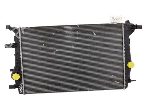 Used Water radiator RENAULT SCÉNIC III (JZ0/1_) 1.9 dCi (JZ0J, JZ1J, JZ1K, JZ1S) (131 hp) 30124584