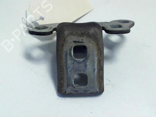 Hinge/Door check strap RENAULT CLIO III (BR0/1, CR0/1) 1.2 16V (BR02, BR0J, BR11, CR02, CR0J, CR11) | BP20959146C146 