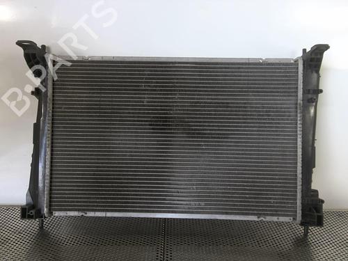 Water radiator FIAT BRAVO II (198_) 1.6 D Multijet (198AXH1B) | BP20971601M31 