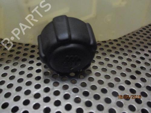 Expansion tank RENAULT CLIO III (BR0/1, CR0/1) 1.5 dCi (C/BR0G, C/BR1G) | BP20943175C120 