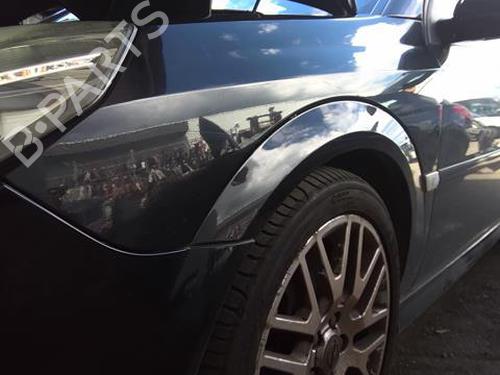 Used Left front fenders OPEL SIGNUM Hatchback (Z03) 3.0 V6 CDTI (F48) (184 hp) 22025741