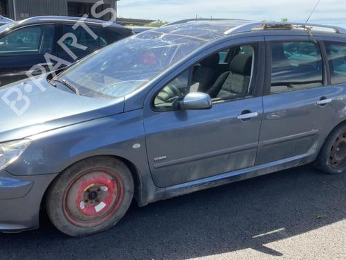 Door moulding trim PEUGEOT 307 Break (3E) 1.6 HDi 110 | BP20952434C150 
