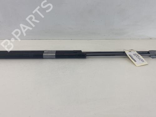 Used Tailgate lift support VW CADDY III MPV (2KB, 2KJ, 2CB, 2CJ) 1.9 TDI (105 hp) 22025022