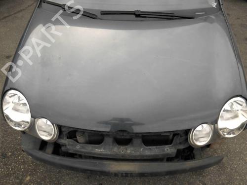 Used Hood VW POLO IV (9N_, 9A_) 1.4 TDI (75 hp) 20953975