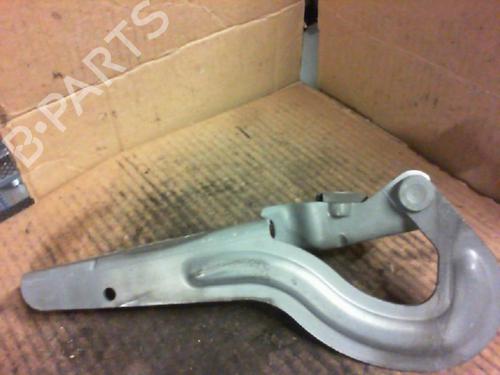 Used Hinge/Door check strap RENAULT SCÉNIC I MPV (JA0/1_, FA0_) 1.9 dCi (JA05, JA1F) (102 hp) 20961212