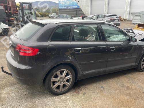 Tailgate AUDI A3 Sportback (8PA) 2.0 TDI 16V quattro | BP23843177C6 