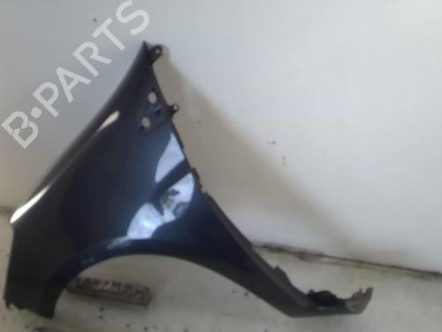Left front fenders RENAULT CLIO III (BR0/1, CR0/1) 1.5 dCi (C/BR0G, C/BR1G) | BP22021850C41
