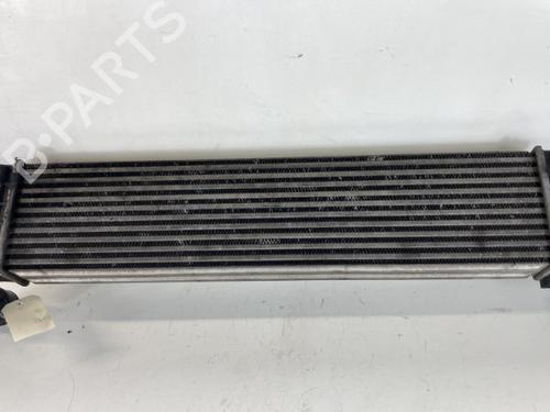 Intercooler RENAULT ESPACE IV (JK0/1_) 2.0 dCi (JK01, JK02, JK1J, JK1K, JK1H) | BP20938250M30 