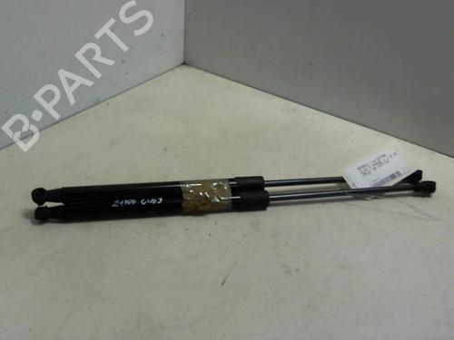 Gassdemper Bakluke RENAULT CLIO III (BR0/1, CR0/1) 1.5 dCi (C/BR0G, C/BR1G) (68 hp) 20947244