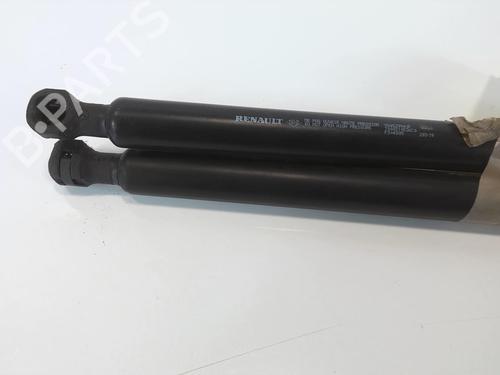 Tailgate lift support DACIA SANDERO II TCe 90 (B8M1, B8MA, B8AC) | BP20953654C138 