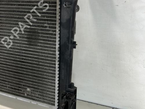 Water radiator FIAT PUNTO (199_) 1.3 D Multijet | BP20950190M31