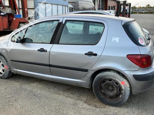 Hinge/Door check strap PEUGEOT 307 (3A/C) 2.0 HDi 90 | BP20965794C146 