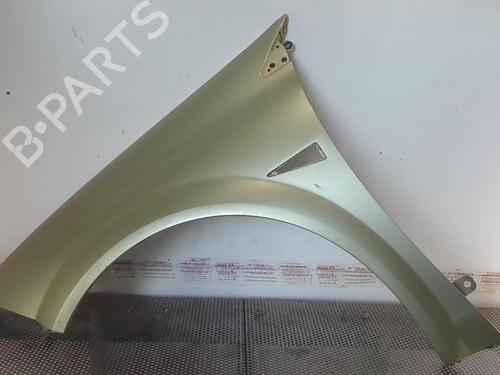 Left front fenders RENAULT MEGANE II (BM0/1_, CM0/1_) 1.9 dCi (BM0G, CM0G) | BP20957409C41 