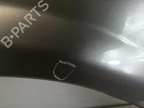 Left front fenders NISSAN PRIMERA Hatchback (P12) 1.9 dCi | BP20956346C41 