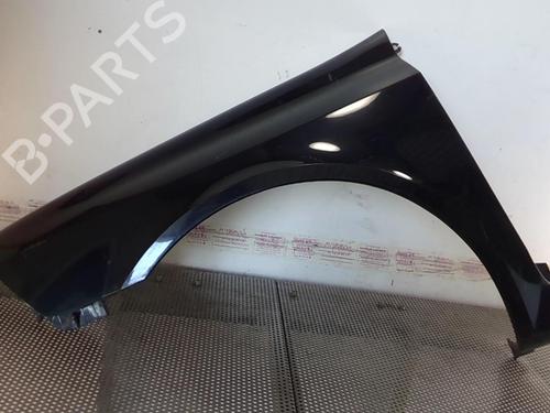 Left front fenders RENAULT LAGUNA II (BG0/1_) 1.9 dCi (BG1A, BG1W, BG0G) | BP20963752C41 