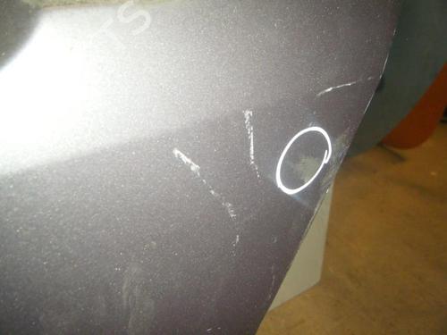 Left rear door RENAULT MEGANE II (BM0/1_, CM0/1_) 1.9 dCi (BM0G, CM0G) | BP20960901C4 