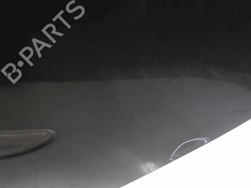 Left rear door RENAULT CLIO III (BR0/1, CR0/1) 1.2 16V (BR02, BR0J, BR11, CR02, CR0J, CR11) | BP22023067C4 