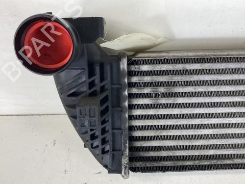 Intercooler RENAULT ESPACE IV (JK0/1_) 2.0 dCi (JK01, JK02, JK1J, JK1K, JK1H) | BP20938250M30 