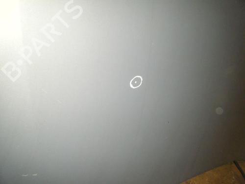 Hood RENAULT MEGANE II (BM0/1_, CM0/1_) 2.0 16V (BM0U, CM0U) | BP20960911C1 