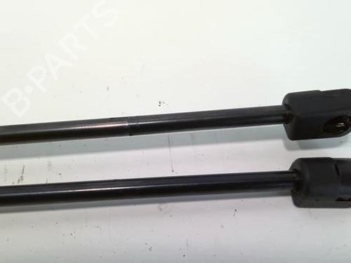 Tailgate lift support RENAULT SCÉNIC I MPV (JA0/1_, FA0_) 1.9 dCi (JA05, JA1F) | BP20968897C138 