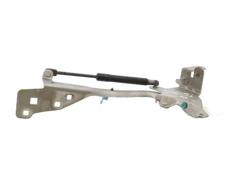 Used Hinge/Door check strap RENAULT SCÉNIC III (JZ0/1_) 1.5 dCi (106 hp) 20970311