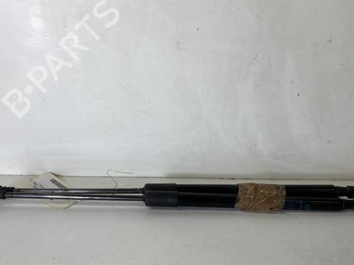 Gassdemper Bakluke RENAULT SCÉNIC IV (J9_) 1.3 TCe 140 (140 hp) 23971681