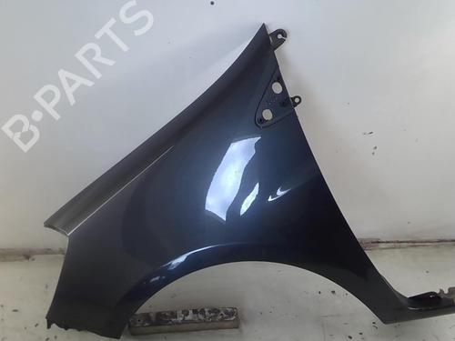 Left front fenders RENAULT CLIO III (BR0/1, CR0/1) 1.5 dCi (C/BR0G, C/BR1G) | BP22021850C41