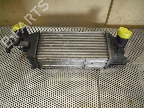 Used Water radiator CITROËN C5 II (RC_) 2.2 HDi (RC4HXE) (133 hp) 20955410