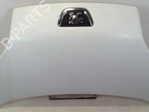 Used Hood PEUGEOT BIPPER (AA_) 1.4 HDi (68 hp) 22024622