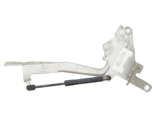 Used Hinge/Door check strap Hinge/Door check strap RENAULT SCÉNIC III (JZ0/1_) 1.5 dCi (106 hp) 20957986 20957986